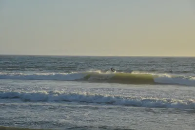 DSC_7254 (Large).JPG